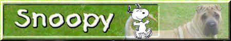 Venez dcouvrir Snoopy!!